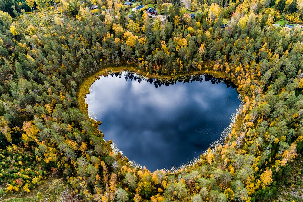 Hjärta som formats av skog och vatten
